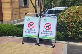 禁止携带犬只入内！两山公园加强管理措施并进行集中整治图片