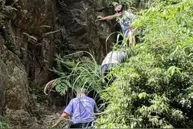 退休大爷在西樵爬山发生意外，民警搜救时在瀑布处发现……图片