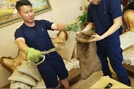 浙江近期高发！现场画面毛骨悚然！杭州多位网友：拍到了图片