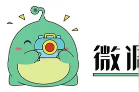 近八成受访者对传统婚俗去粗取精，九成将婚礼视作“婚姻的试炼”——这届年轻人用创意婚礼宣誓爱图片