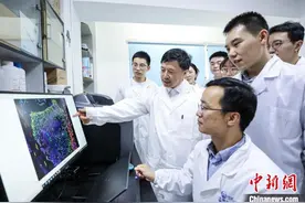 老龄化程度加深 科研人员耗时20余载研制新材料助力“骨修复”图片