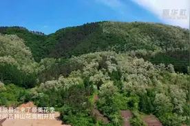 四季旅行·畅游辽宁｜又是山花烂漫时图片