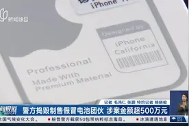 “品牌手机电池”为何屡遭投诉？警方调查发现…图片