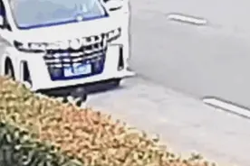 再次出手！还是这名铁骑女警……图片