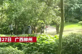义务歌唱家乡20载，柳州这个“社牛”大爷真的牛！图片
