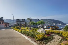 鲜花似锦——南隍城乡“鲜花海岛”初见成效图片