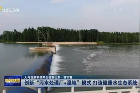 人与自然和谐共生的新山东·济宁篇 | 创新“污水处理厂+湿地”模式 打造健康水生态系统图片