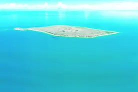 相约青海　大湖观鸟 ——探访青海湖湿地生物多样性家园图片