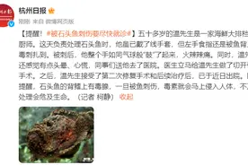 提醒！被石头鱼刺伤要尽快就诊图片