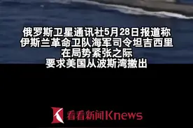 伊朗军方：美军舰出没波斯湾是“该死的错误”图片
