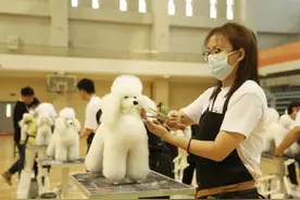 北京农业职业学院：特色高水平动物医学专业群为城市动物卫生安全保驾护航图片