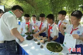 湖南举行系列科普活动 微观古老植物之美图片