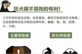 被狗狗“亲吻”有没有危险？专家：小心狂犬病毒图片