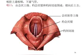 突然嗓子痛，一男子险丧命！医生：再晚5分钟，人就没了图片