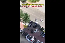 吃瓜观众爆笑解说车主斗气现场，东北人一开口，幽默感直接拉满图片
