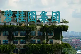 碧桂园调整组织架构，将地产业务降至二级集团管辖图片