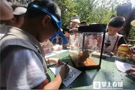“六一”儿童节 贝斯枫岭幼儿园100余名娃娃和小动物交朋友图片