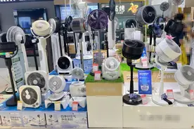 市场“新宠”来的如此突然，3000多元的电风扇吹的是什么风？图片
