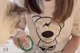 90后女生下班兼职上门喂猫 ：目前总共赚了5000多元，既能赚钱又能撸猫，感觉很快乐图片
