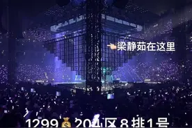 观众花千元看梁静茹演唱会变成看柱子？主办方：会开设渠道积极收集、核实用户反馈信息图片