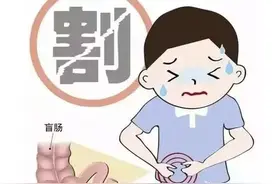 右下腹部疼痛？警惕阑尾炎发作！丨健康智慧屋图片
