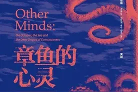 《章鱼的心灵》：当一只章鱼是怎样一种感觉图片
