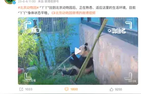 丫丫最新视频，瞧着挺开心的！各地催更：视频有点儿短……图片