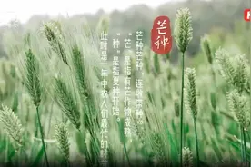 芒种悄然至 你准备好迎接仲夏了吗？图片
