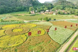 【每日一图@湖南】永州勾蓝瑶寨，绿水青山中的世外桃源图片