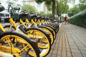 随申行APP增添“小黄车”，骑行扫码更方便！图片