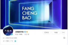 对标大G，比亚迪推出全新个性化品牌“方程豹”图片