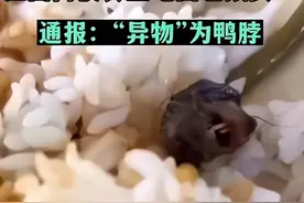 专家解读江西“指鼠为鸭”事件：应以具充足说服力证据消除大众疑虑图片