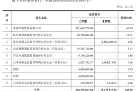 股东注资转型新能源，荣盛发展能成功“保壳”吗？图片