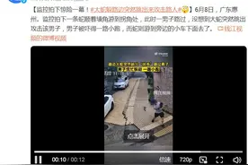 监控拍下惊险一幕！大蛇躲路边突然跳出来攻击路人图片