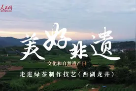 美好非遗丨南方有嘉木！走进绿茶制作技艺（西湖龙井）图片