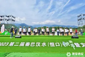 第二届秦巴汉水（恒口）插秧节开幕图片