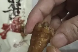 晨意帮忙｜头皮发麻！广东一男子称吃无穷鸡爪发现活虫，超市：他要一千，怀疑做过手脚图片