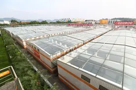 高质量发展调研行|一滴酱油背后的创新故事图片
