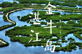 “万树成千岛”，广东湛江将红树林打造成绿美广东新亮点视频封面