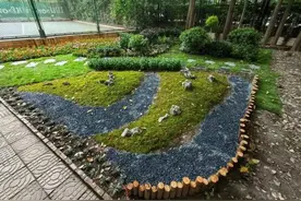 荒地变身绿意盎然的“后花园”，背后有他们的付出图片