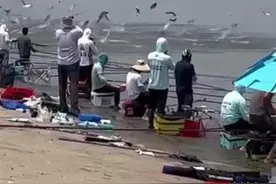 白鲢跃江，如沸如羹，奇特现象为哪般？中科院专家解读：白鲢的应激反应图片