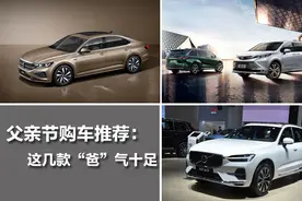 父亲节购车推荐：这几款“爸”气十足图片