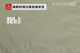 快评丨跳桥救人小哥拒奖引争议，我们需要“子贡拒金”还是“子路受牛”图片