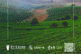 茶香中国 人在草木间②图片