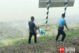 听到呼救飞身冲下河，上岸立即做心肺复苏，点赞这位救人的“无名英雄”图片