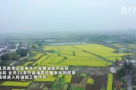江苏南京：农业智慧化改造助力节能增效图片