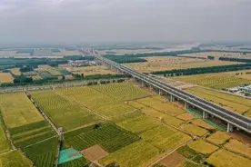“退林还耕”？原来是个伪概念图片
