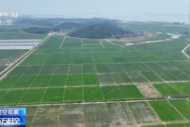 18亿亩耕地红线如何严守？3个问题带你了解→图片