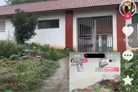 流浪狗救助基地“人去楼空”：狗狗去向遭质疑，被指借爱心牟利 负责人回应图片