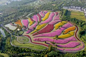 喜讯！金山新增一家4A级景区！图片